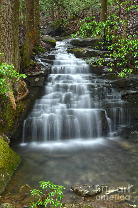 Big Branch Falls Art Print featuring the photograph Big Branch Falls 5 by Phil Perkins