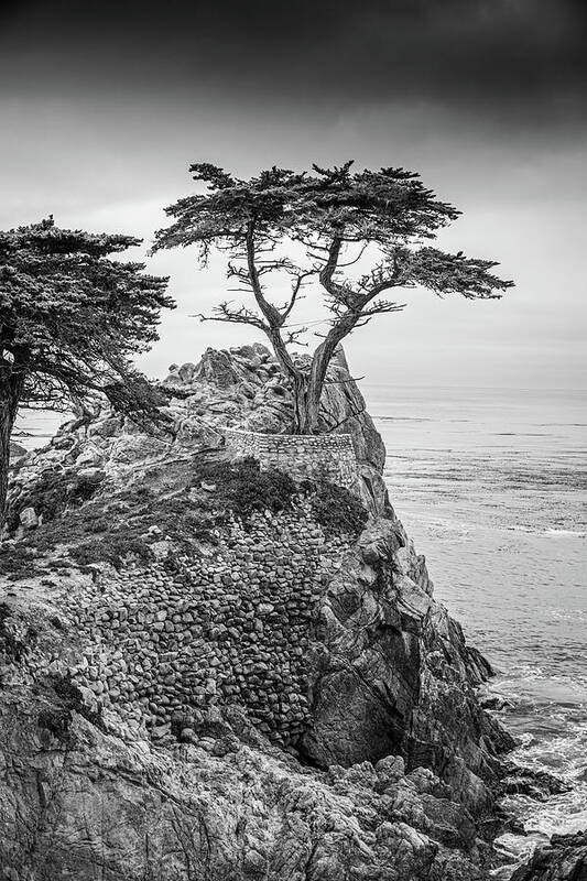 California Art Print featuring the photograph Big Sur 7 by Blue Moon