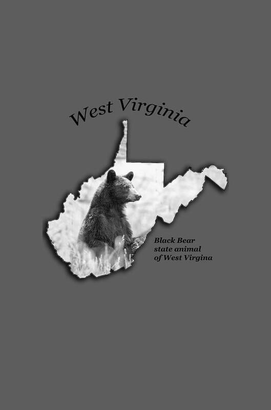 Black Bear Art Print featuring the photograph Black Bear WV state animal by Dan Friend