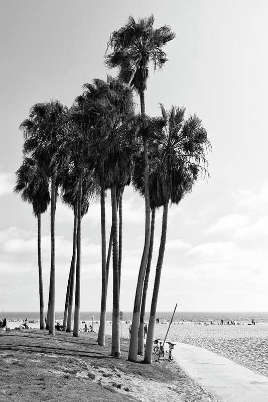 Santa Monica Art Print featuring the photograph Black California Series - Venice Beach Alley by Philippe HUGONNARD