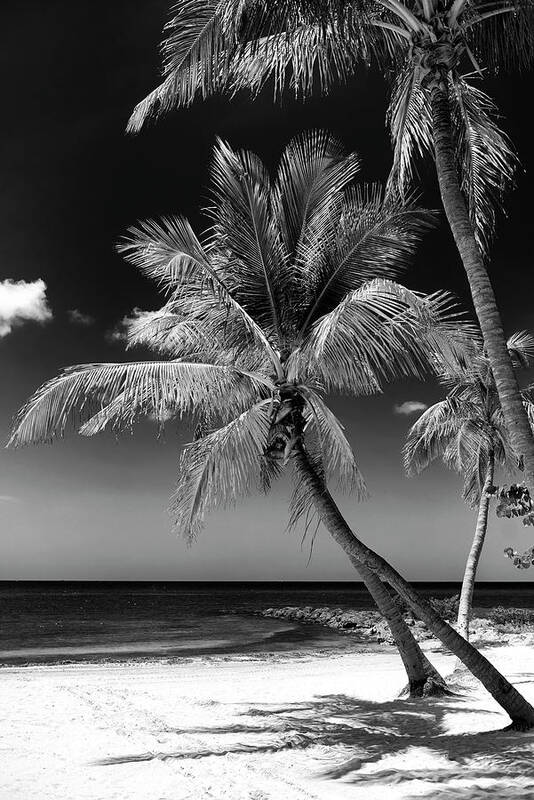 Florida Art Print featuring the photograph Black Florida Series - Key West Beach by Philippe HUGONNARD