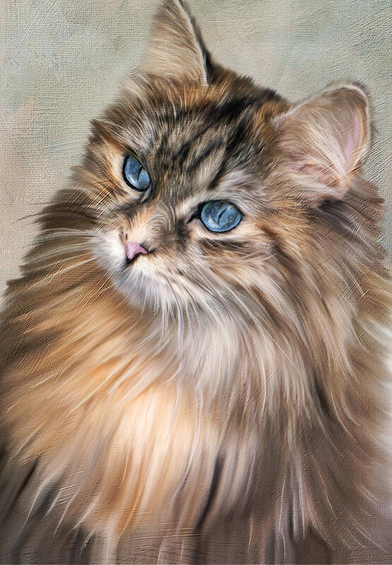 Blue Eye Kitty Art Print featuring the digital art Blue Eyed Kitty by Mary Timman