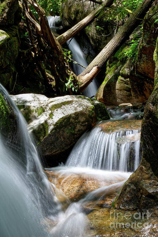 Nature Art Print featuring the photograph Blue Hole Falls 11 by Phil Perkins