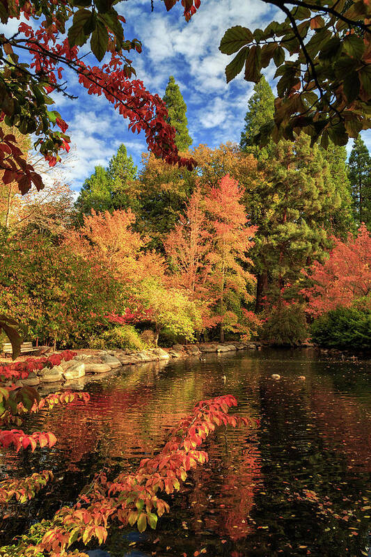 Autumn Art Print featuring the photograph Blue Sky Autumn Day In Ashland by James Eddy