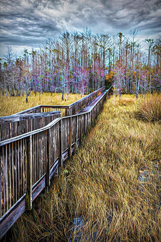 Clouds Art Print featuring the photograph Boardwalk over the Marsh Painting by Debra and Dave Vanderlaan
