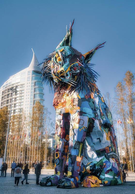 Plastic Art Print featuring the photograph Bordalo II Oriente's Cat by Micah Offman