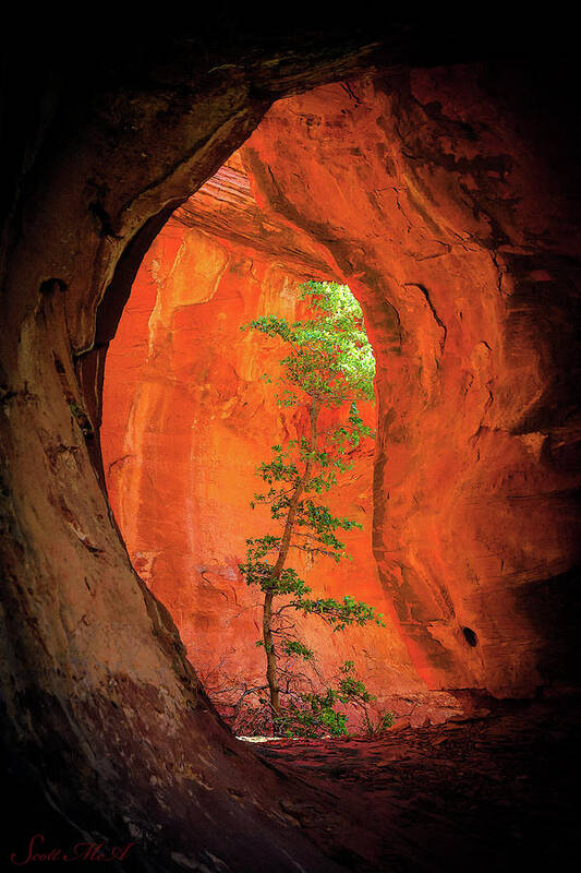 Red Rocks Art Print featuring the photograph Boynton Canyon 04-343 by Scott McAllister