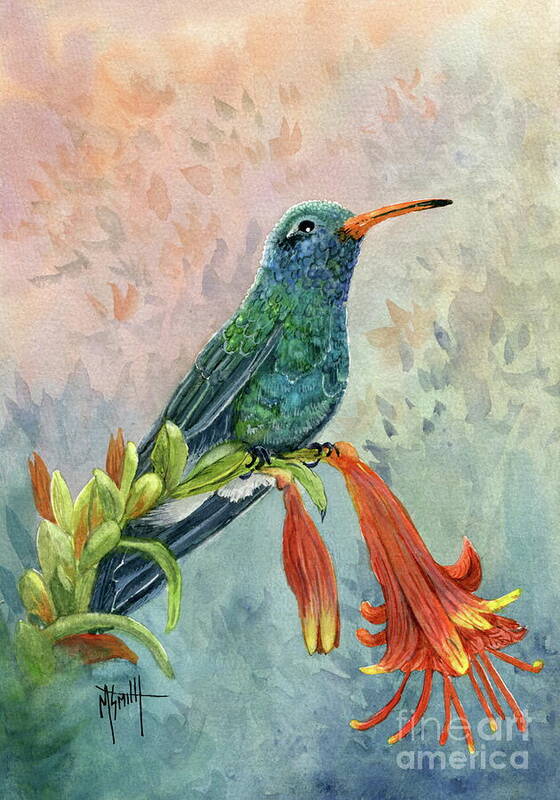 Broad-billed Hummingbird Art Print featuring the painting Broad-billed Hummingbird by Marilyn Smith