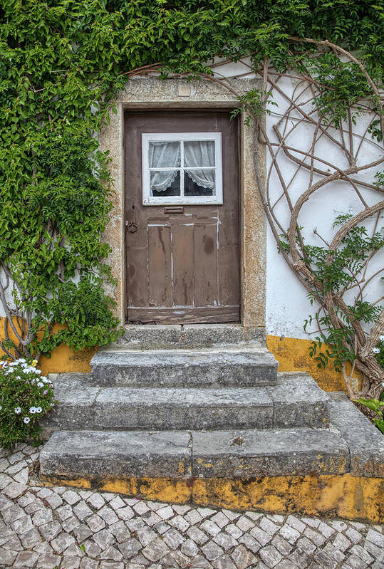 Culture Art Print featuring the photograph Brown Door of Medieval Portugal by David Letts