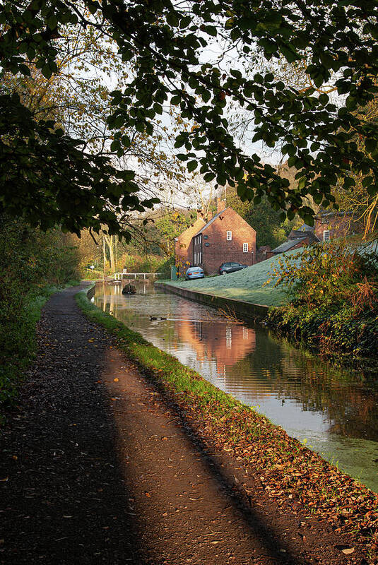 Canal Art Print featuring the photograph Canal under the trees by Average Images