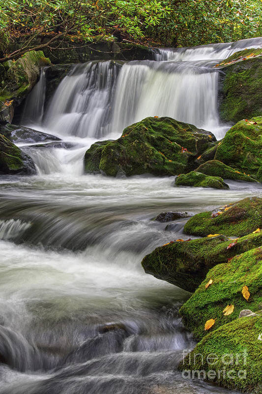 Tennessee Art Print featuring the photograph Cascades And Moss by Phil Perkins