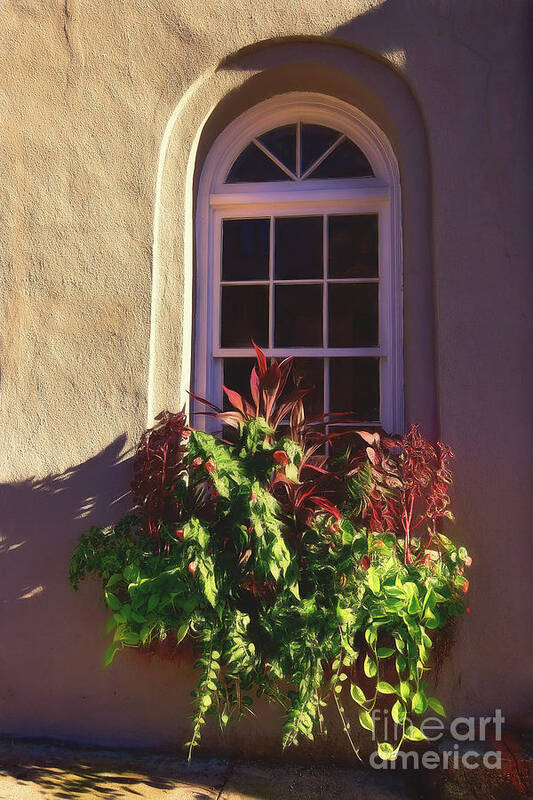 Charleston Art Print featuring the photograph Charleston Window Box by Kathy Baccari