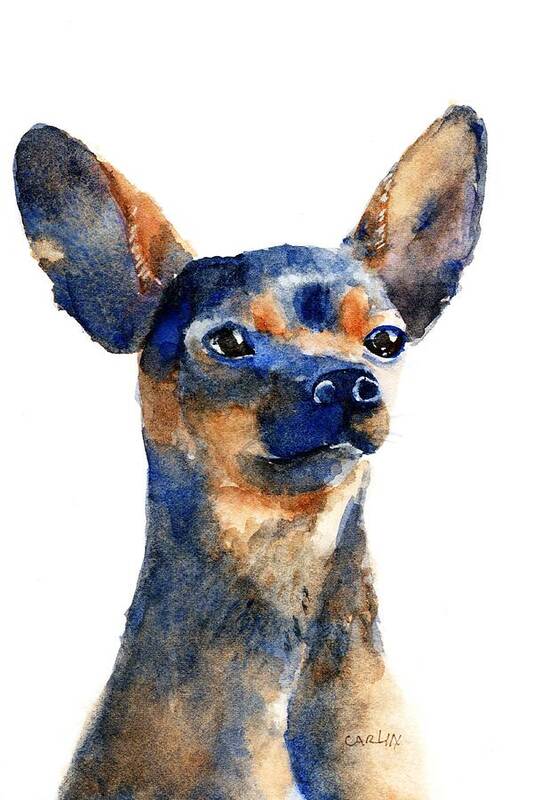 Chihuahua Art Print featuring the painting Chihuahua Sitting Tall by Carlin Blahnik CarlinArtWatercolor