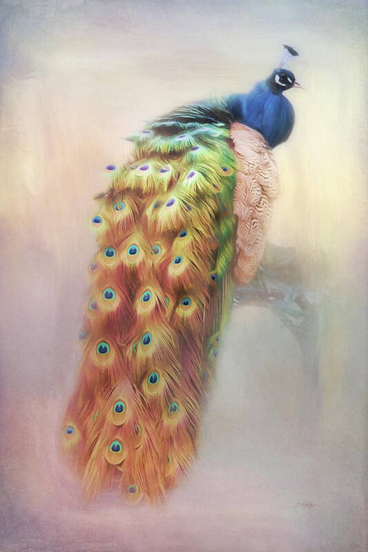 Color Of My Love Art Print featuring the photograph Color Of My Love - Peacock Art by Jordan Blackstone