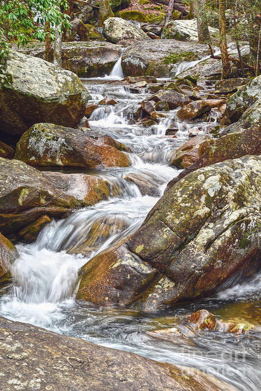 Tennessee Art Print featuring the photograph Creek Among Boulders by Phil Perkins