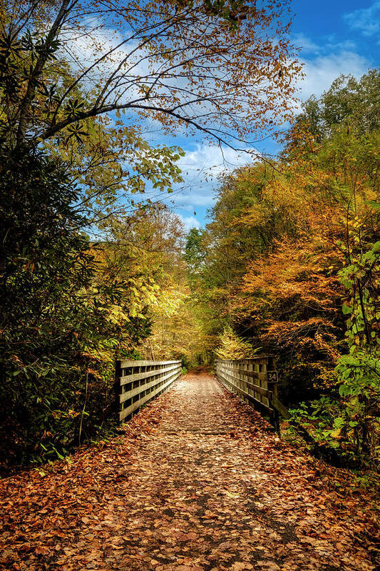 Clouds Art Print featuring the photograph Creeper Trail Wooden Bridge Damascus Virginia by Debra and Dave Vanderlaan