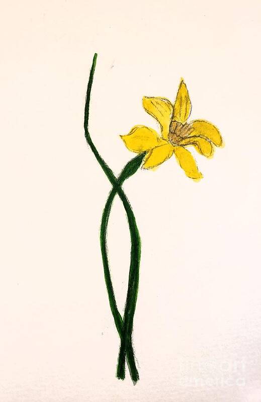 Yellow Flower Art Print featuring the painting Daffodil by Margaret Welsh Willowsilk