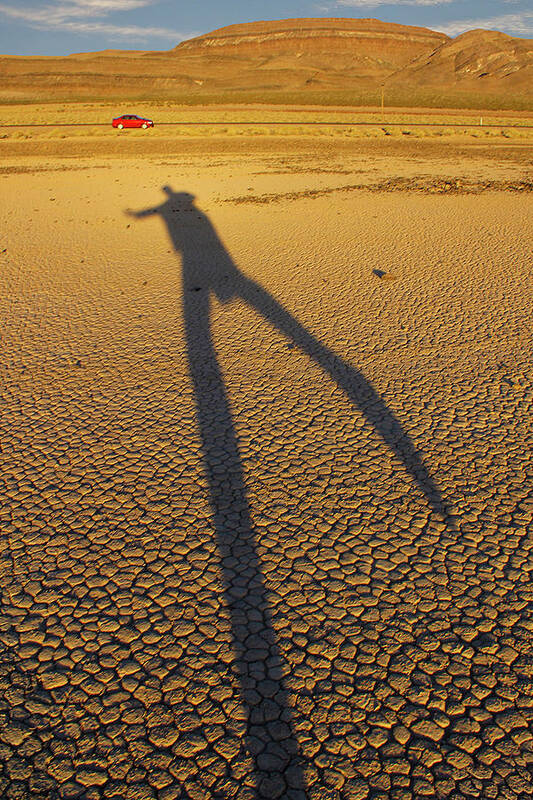 Death Valley Art Print featuring the photograph Dancing Fool by Mike McGlothlen