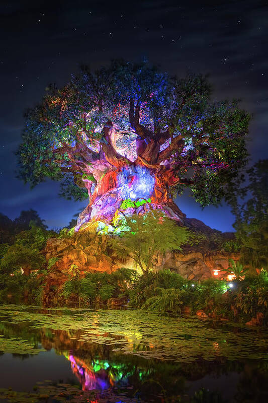 Tree Of Life Art Print featuring the photograph Disney's Tree of Life by Mark Andrew Thomas