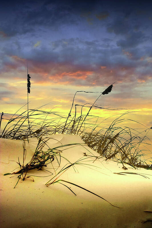 Art Art Print featuring the photograph Dune and Beach Grass by Randall Nyhof