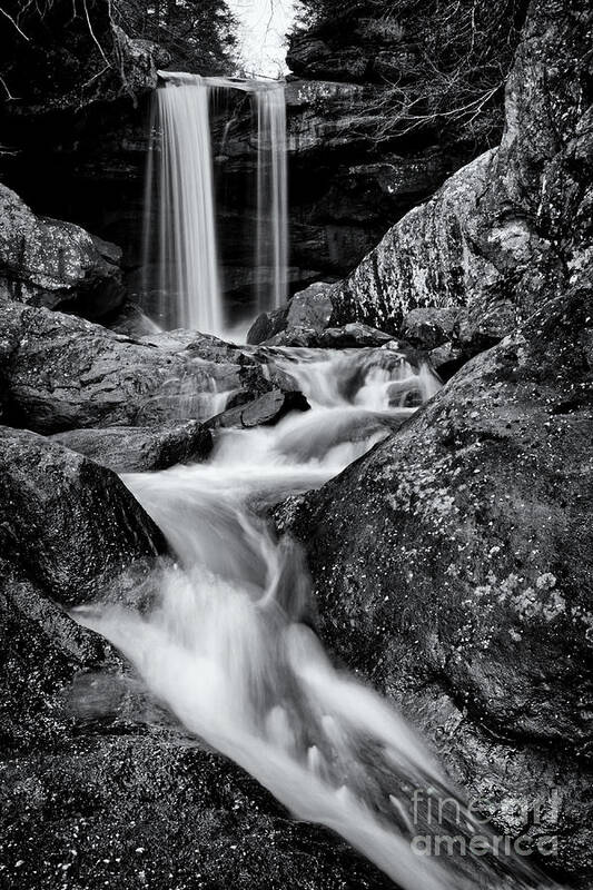 Eagle Falls Art Print featuring the photograph Eagle Falls 35 by Phil Perkins
