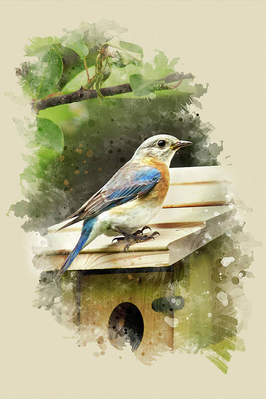 Bluebird Art Print featuring the mixed media Eastern Bluebird Watercolor Art by Christina Rollo