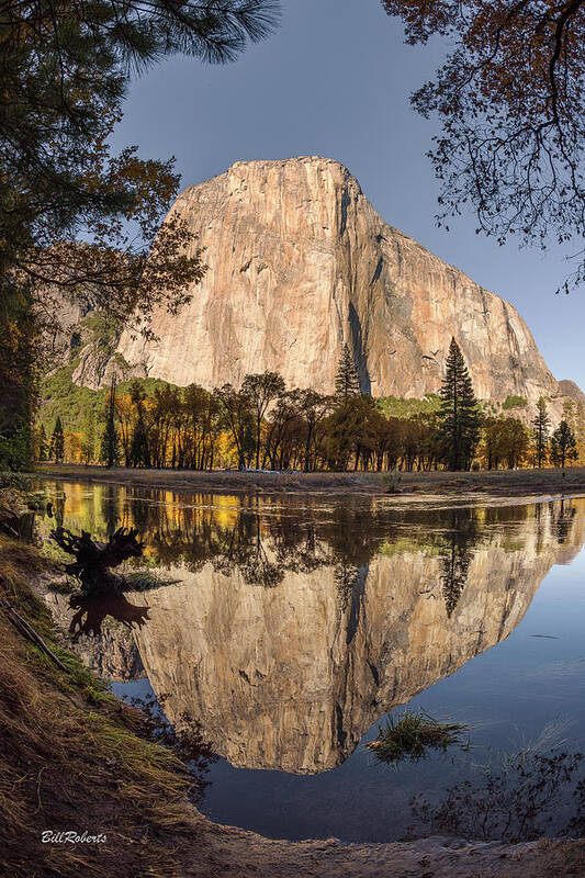 El Capitan Art Print featuring the photograph El Capitan Reflection by Bill Roberts