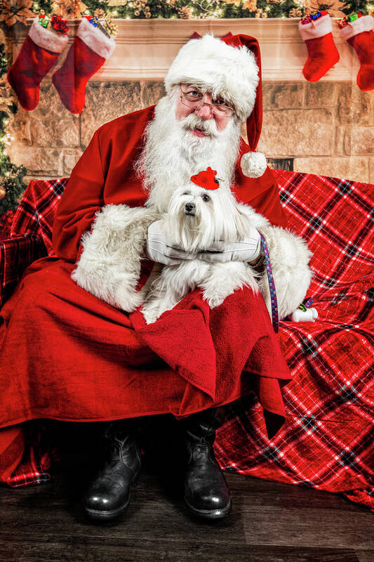 Emmy Art Print featuring the photograph Emmy with Santa 2 by Christopher Holmes