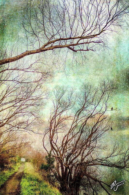 Tree Art Print featuring the photograph Evening Shags by Roseanne Jones