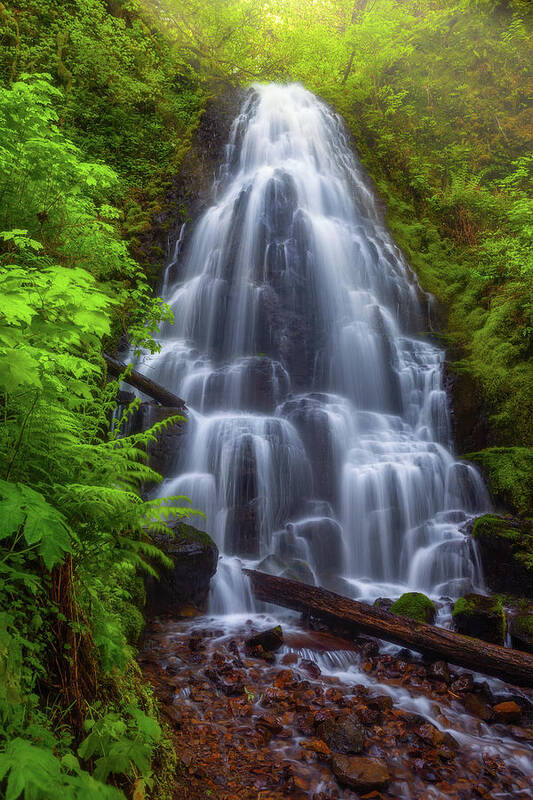 Oregon Art Print featuring the photograph Fairy Falls by Darren White