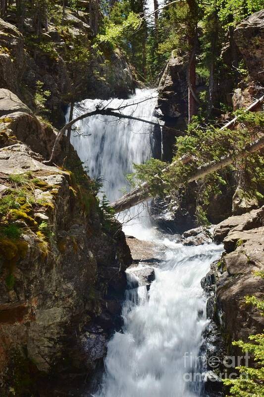 Waterfall Art Print featuring the photograph Falls in the Rockies by Tonya Hance