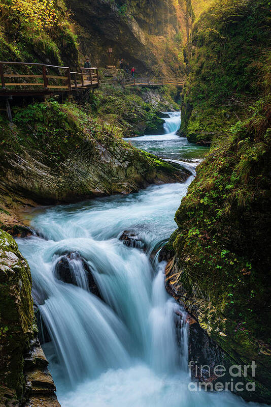 Autumn Art Print featuring the photograph Falls by Yuri Santin