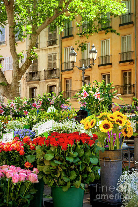 Provence Art Print featuring the photograph Flowers at Market - Aix en Provence France by Brian Jannsen