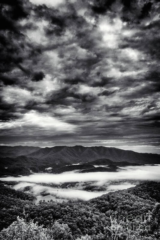 Fog Art Print featuring the photograph Fog in the Valley 4 by Phil Perkins