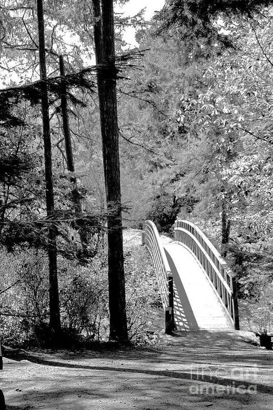 Bridge Art Print featuring the photograph Foot Bridge by Kimberly Furey