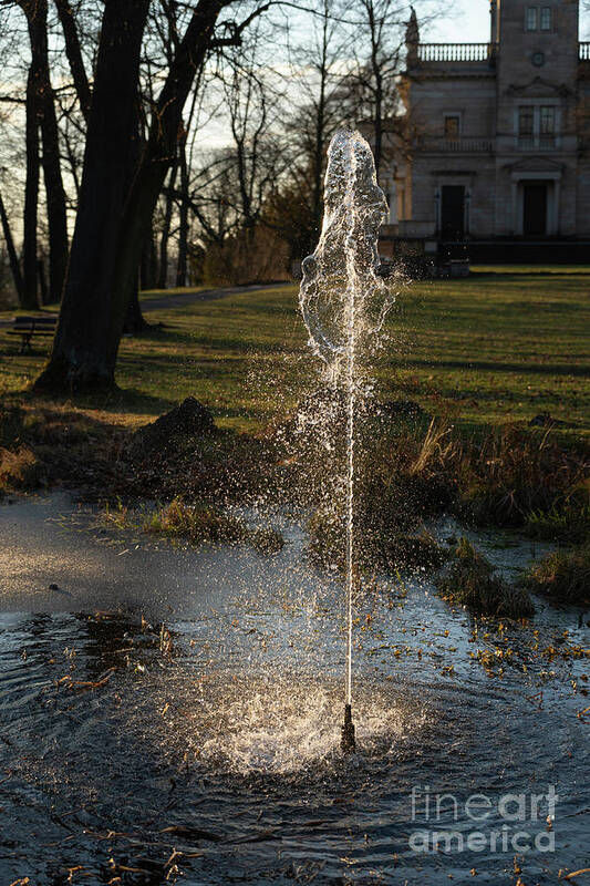 Fountain Art Print featuring the photograph Fountain and trees in the evening light 3 by Adriana Mueller