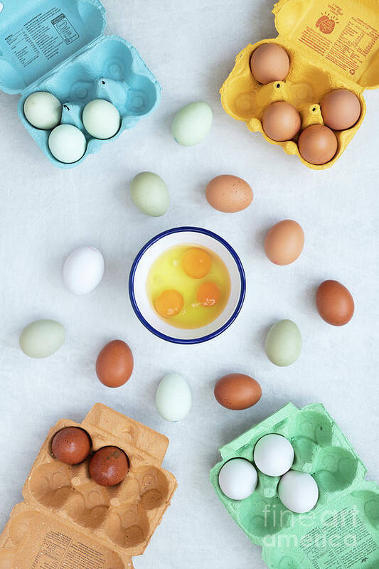 Eggs Art Print featuring the photograph Free Range Eggs by Tim Gainey