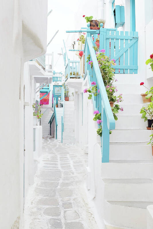 Greece Art Print featuring the photograph Geraniums and Blue by Lupen Grainne