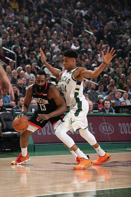 Nba Pro Basketball Art Print featuring the photograph Giannis Antetokounmpo and James Harden by Gary Dineen