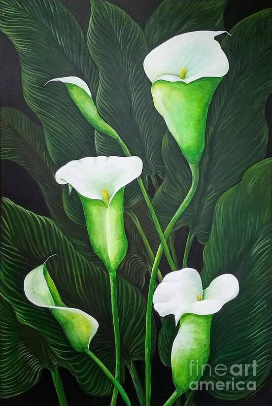 Calla Lilies Art Print featuring the painting Giant Calla Lily by Jimmy Chuck Smith