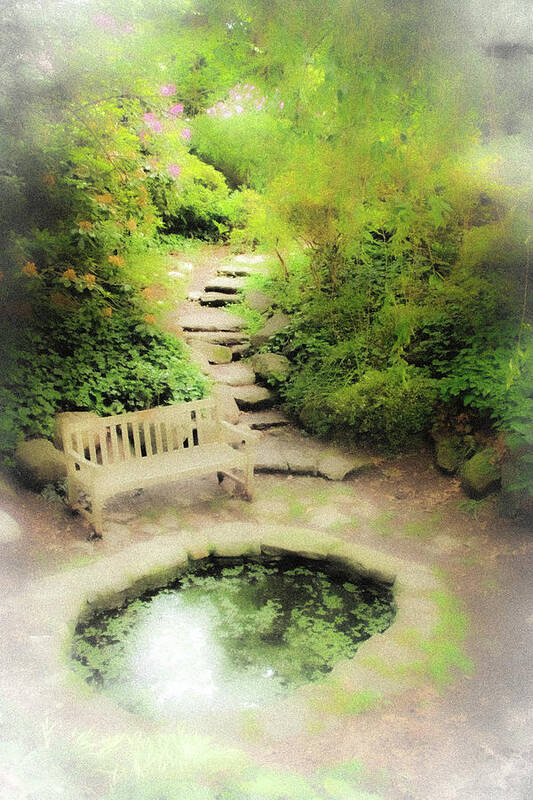 Pond Water Bench Stone Steps Fog Art Print featuring the photograph Hazy Pond by John Linnemeyer