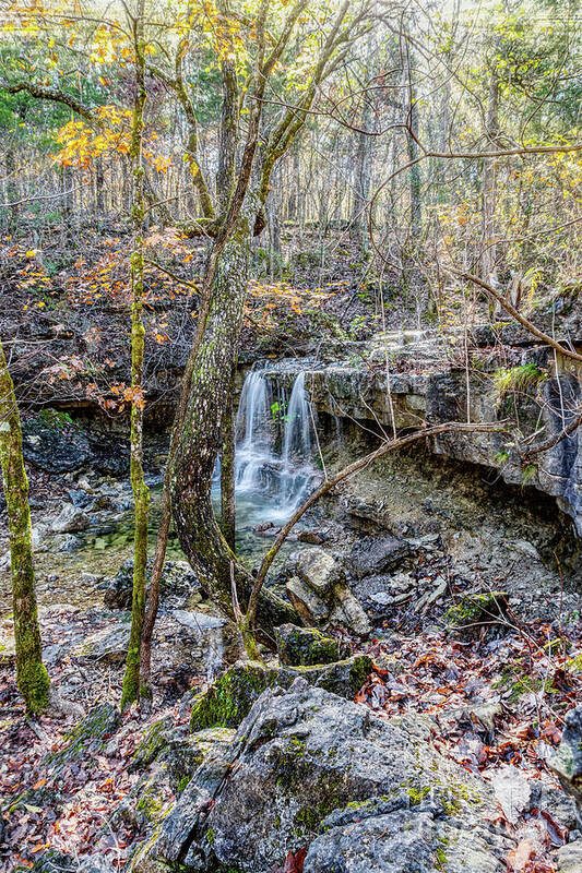 Ruth And Paul Henning Conservation Area Art Print featuring the photograph Henning Waterfall In The Woods by Jennifer White