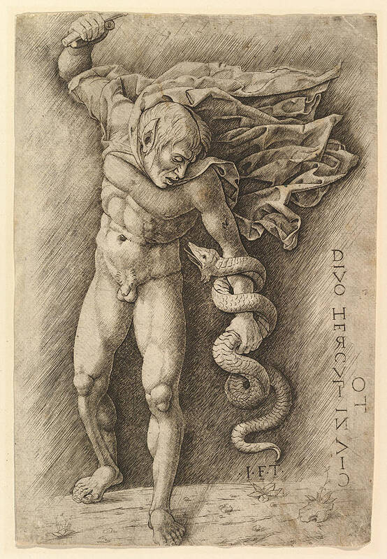 School Of Andrea Mantegna Art Print featuring the drawing Hercules and the Hydra by School of Andrea Mantegna