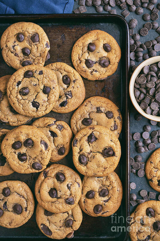 Chocolate Chip Cookies Art Print featuring the photograph Homemade Chocolate Chip Cookies by Tim Gainey