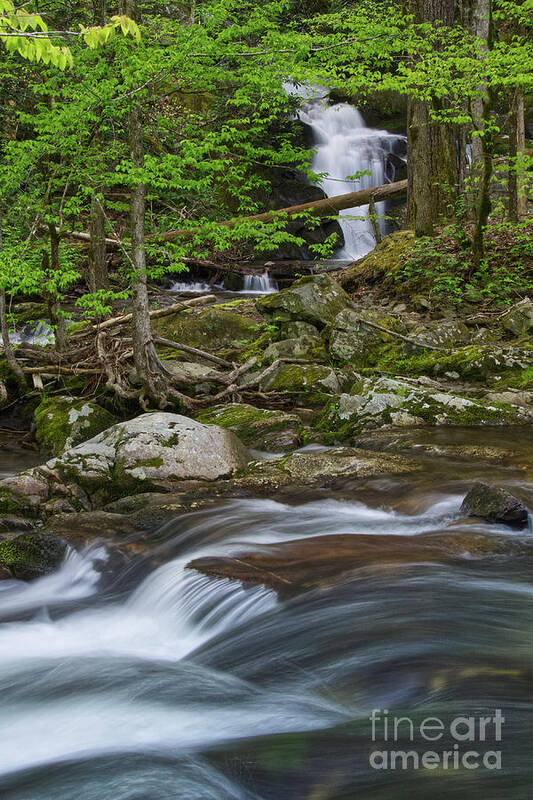 Honey Cove Falls Art Print featuring the photograph Honey Cove Falls 3 by Phil Perkins