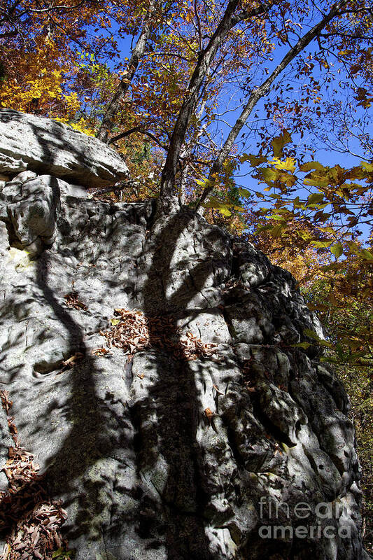 Shadows Art Print featuring the photograph House Mountain 33 by Phil Perkins