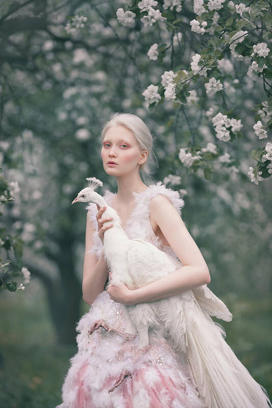 Albino Art Print featuring the photograph In blooming gardens by Anastasiya Dobrovolskaya