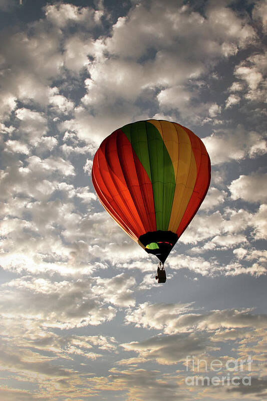 Hot Air Balloon Art Print featuring the photograph Into the Sky by Neala McCarten
