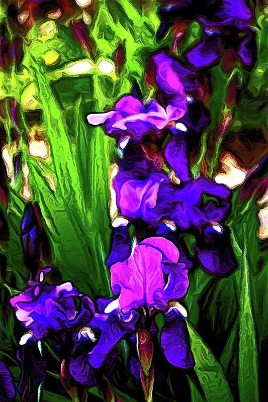 Floral Art Print featuring the photograph Iris 21 by Pamela Cooper
