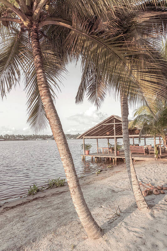 African Art Print featuring the photograph Island Beachhouse Dock by Debra and Dave Vanderlaan